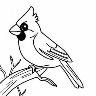 Rozmalovka Realistichnogo Ptakha Kardinala 118373 53462