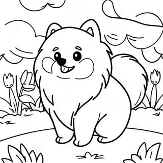 Pukhnastii Pomeranets U Sadu Rozmalovka 118575-53729