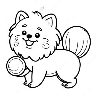 Shchaslivii Pomeranets Shcho Graie Z Miachem Rozmalovka 118576-53735
