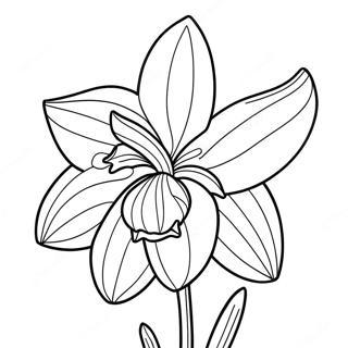 Rozmalovka Velikogo Tsvitu Nartsisa 120657-55355