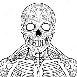 Detalnii Liudskii Skelet Rozmalovka 123483-57784
