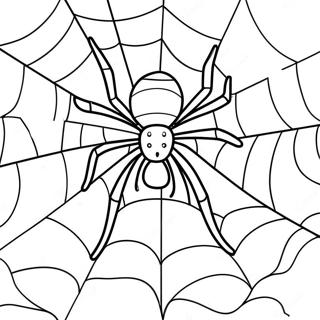 Rozmalovka Gigantskogo Pavutinnia 130356 63345