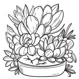 Realistichne Oformlennia Sukulentiv Rozmalovka 32375 7062